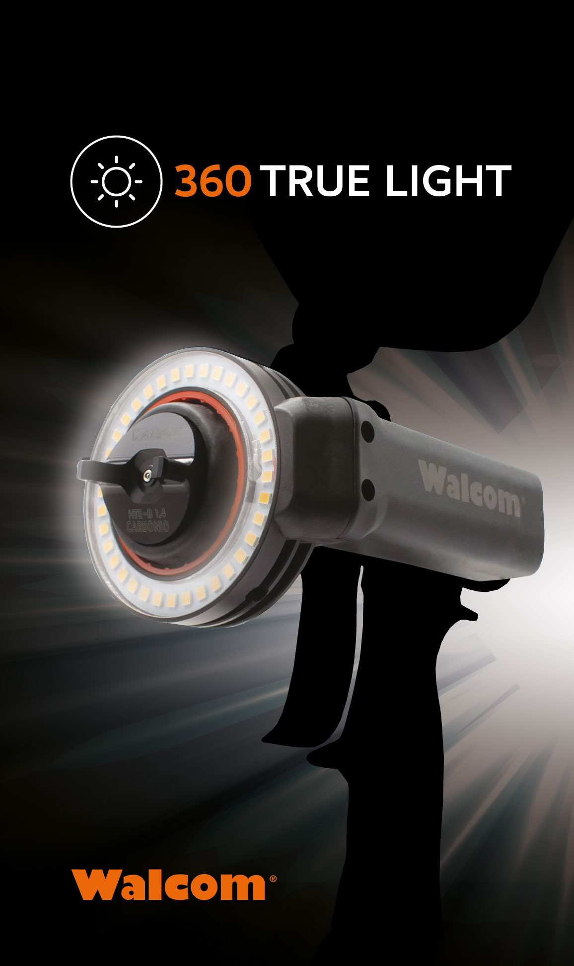 360-true-light-copertina_2